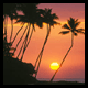 Hawaiian Sunset