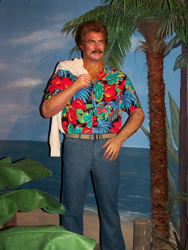 Thomas Magnum The Hollywood Wax Museum The face and stache look ok 
