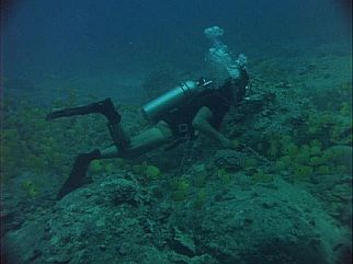 Magnum Scuba Diving