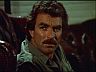 Magnum (Tom Selleck)