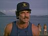 Magnum (Tom Selleck)