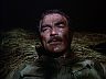 Magnum (Tom Selleck)